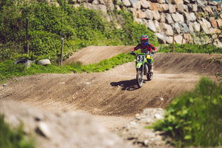 开云官网-全国青少年森林越野赛青春活力无限，青少年进森林研学